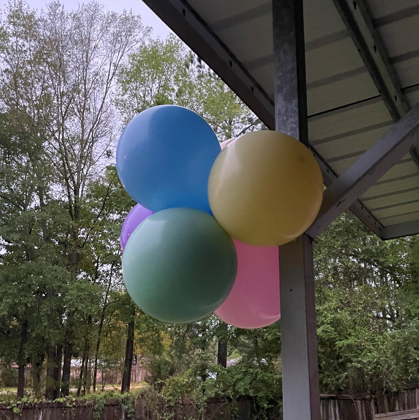 Park Party Order Builder