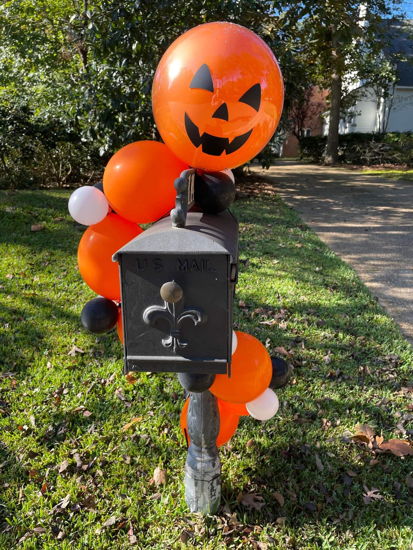 Halloween LED Mbox Swag