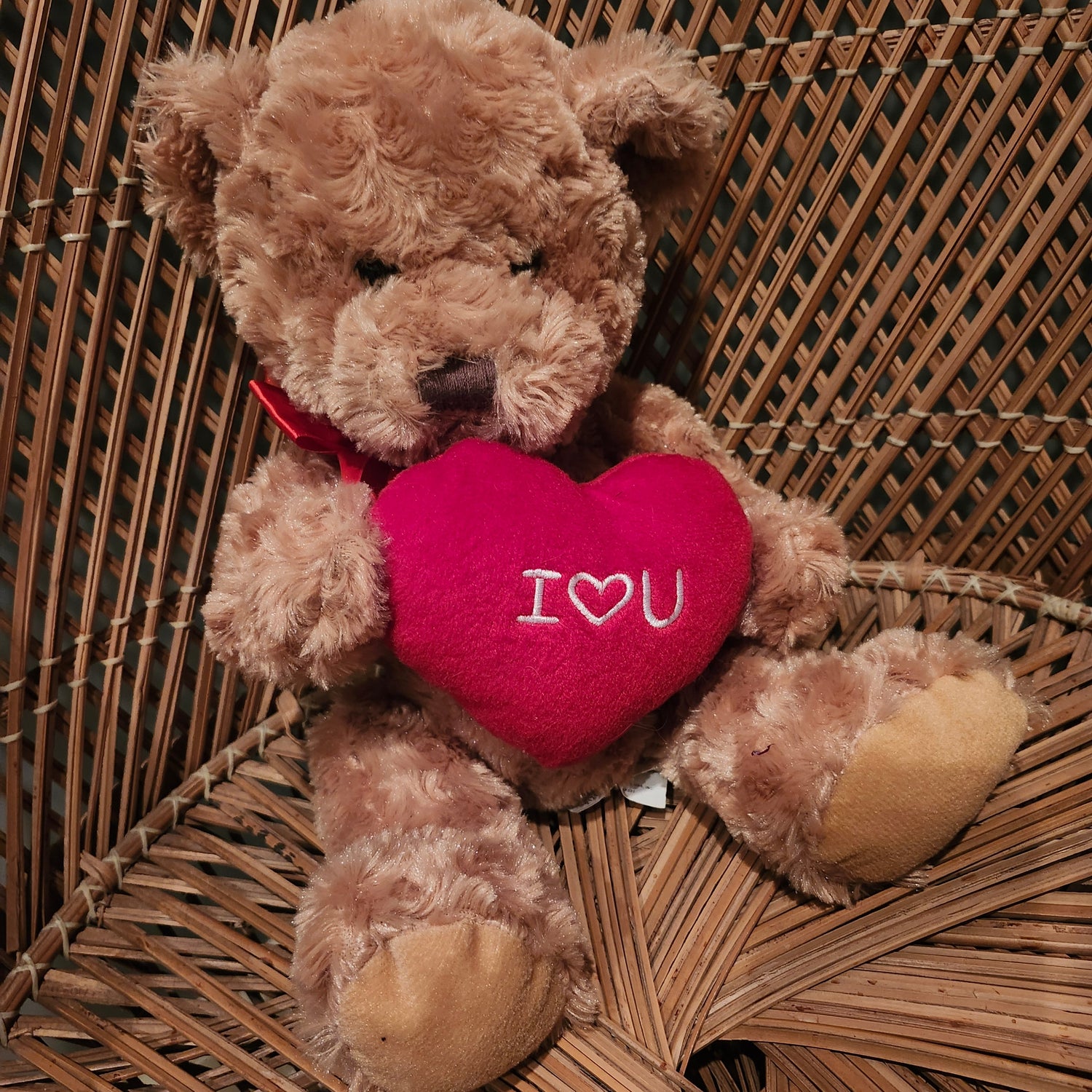 Valentine's Candy, Plush, and More