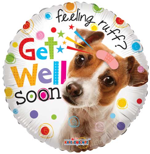 Get Well Soon Dog