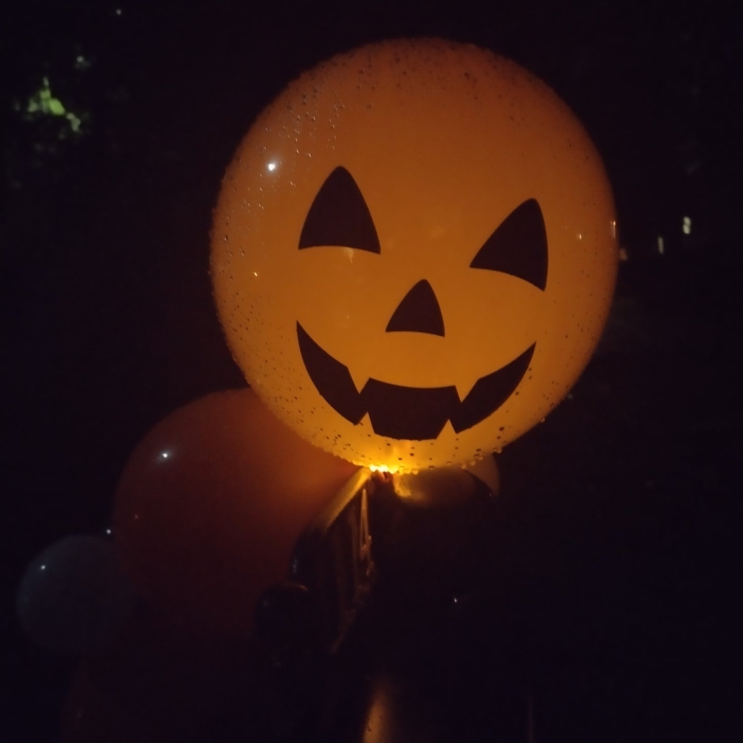 Halloween LED Mbox Swag